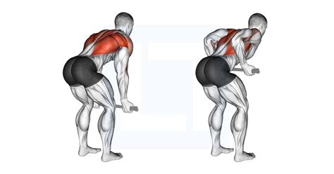 Correcte houding bij bent over row