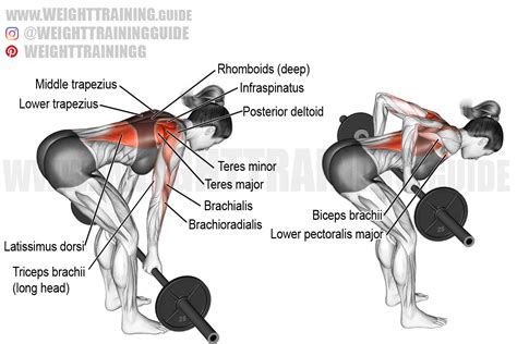 Verschillende grips bij bent over row