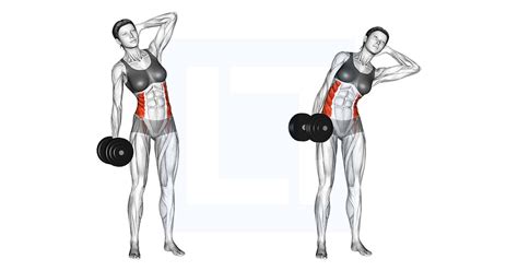 Dumbbell side bend oefening