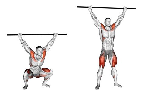 Schema met de belangrijkste spiergroepen die getraind worden tijdens de overhead squat