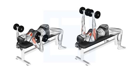 Vergelijking van de bewegingsbaan van dumbbell chest press en barbell bench press