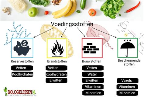 Infographic met de belangrijkste ingrediënten van de top 5 fatburners