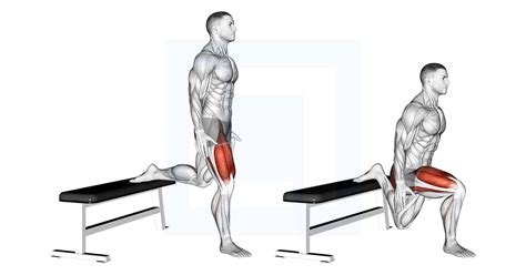 Schema met variaties Bulgarian Split Squat