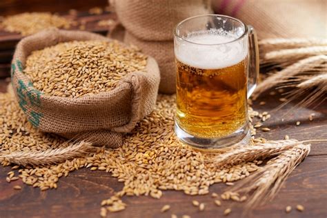 Bier ingrediënten illustratie
