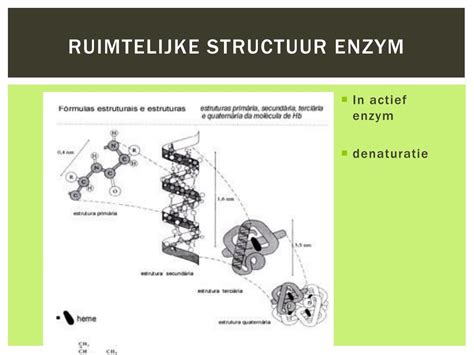 Structuur van het AADC enzym