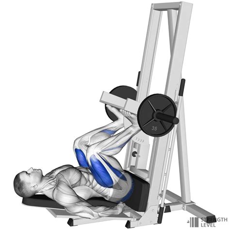 Illustratie van een verticale leg press machine