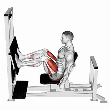 Illustratie van een horizontale leg press machine